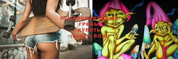 ГАЛЛЮЦИНОГЕННЫЕ ГРИБЫ Лагань