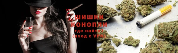 ГАЛЛЮЦИНОГЕННЫЕ ГРИБЫ Лагань