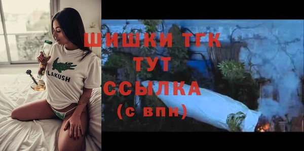 ГАЛЛЮЦИНОГЕННЫЕ ГРИБЫ Лагань