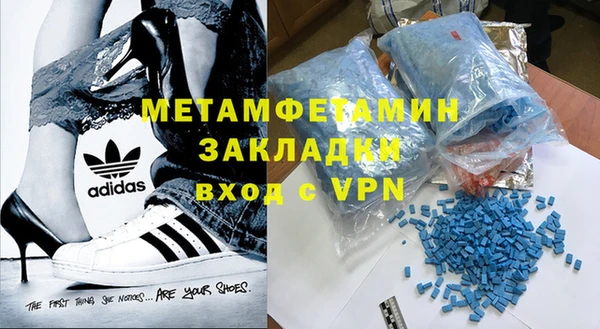 ГАЛЛЮЦИНОГЕННЫЕ ГРИБЫ Лагань
