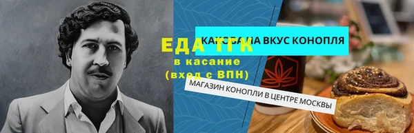 ГАЛЛЮЦИНОГЕННЫЕ ГРИБЫ Лагань