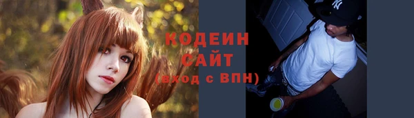 ГАЛЛЮЦИНОГЕННЫЕ ГРИБЫ Лагань