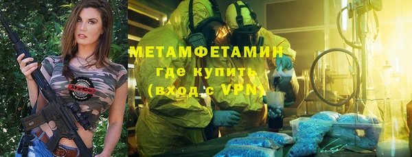 ГАЛЛЮЦИНОГЕННЫЕ ГРИБЫ Лагань