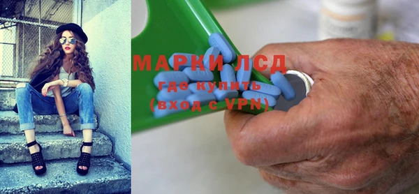 ГАЛЛЮЦИНОГЕННЫЕ ГРИБЫ Лагань