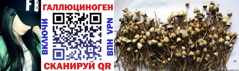 Псилоцибиновые грибы ЛСД  Северобайкальск 